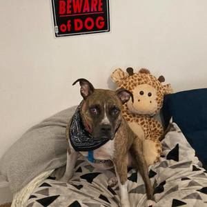 Meet your Posher, Alex